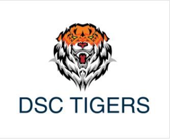 DSC Tigers