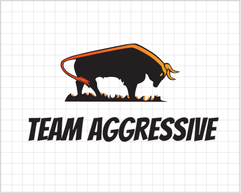 Team Aggressive