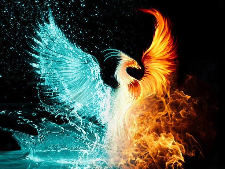 Team - Phoenix