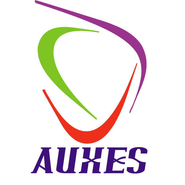 AUXES-DSC